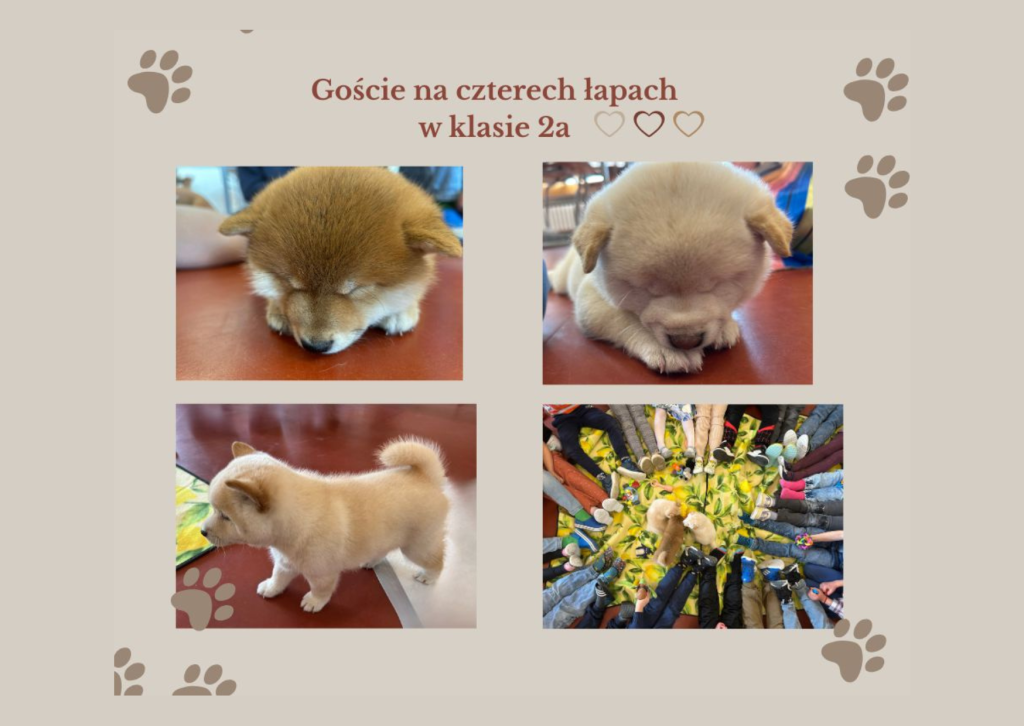 🐾”Wyjątkowe spotkanie w klasie 2a! 🐾